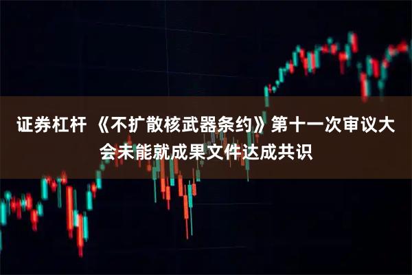 证券杠杆 《不扩散核武器条约》第十一次审议大会未能就成果文件达成共识